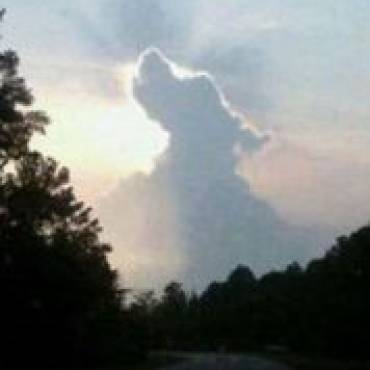 Czy psy idą do nieba?