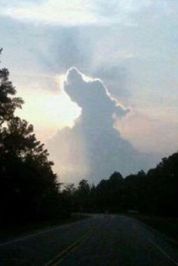 Czy psy idą do nieba?